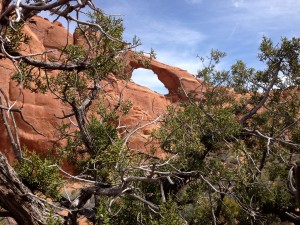 arch3