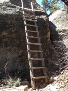 ladder