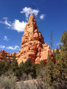 redcanyon1